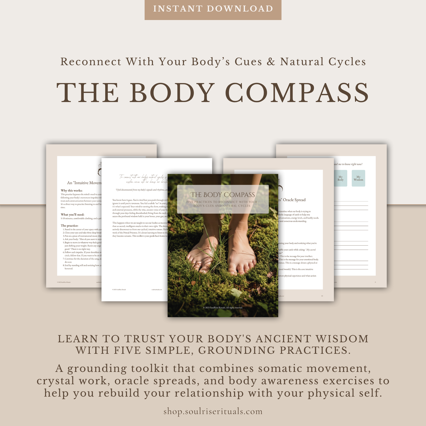 The Body Compass Toolkit: Reconnect with Your Body's Messages | Digital Download