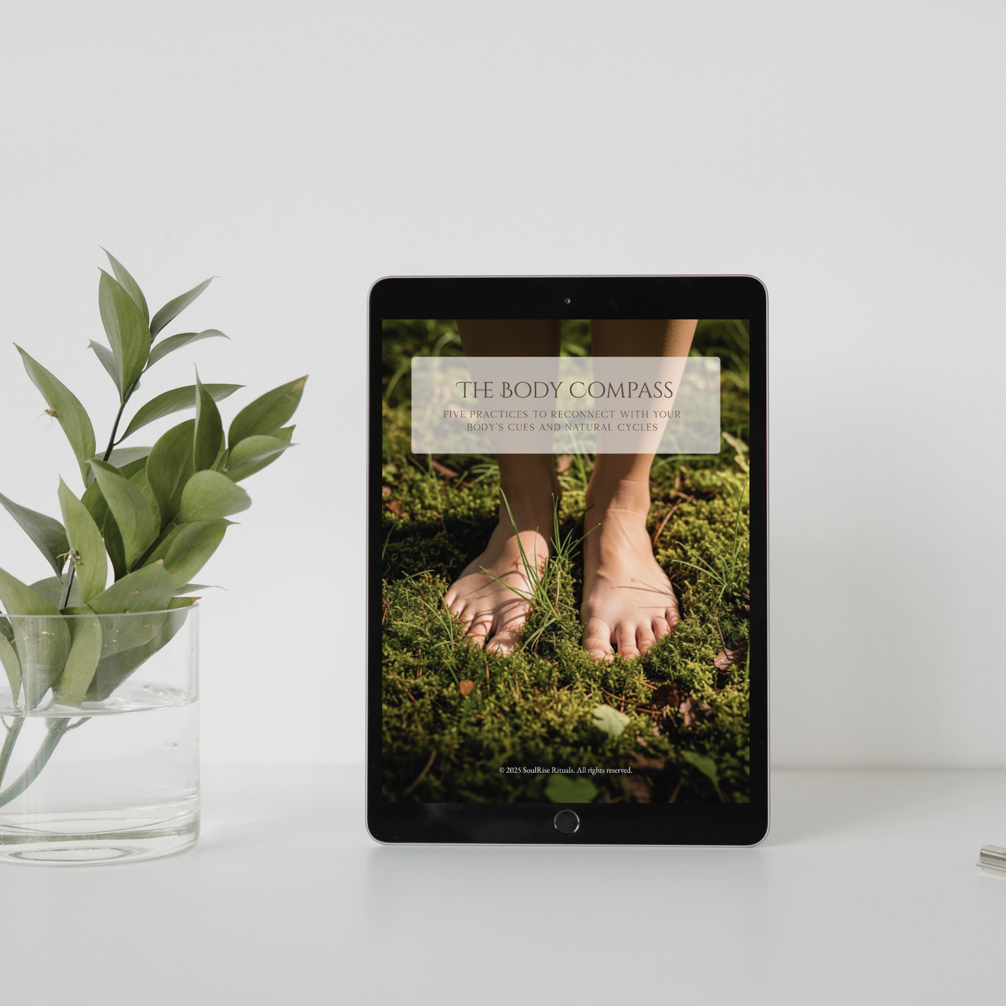 The Body Compass Toolkit: Reconnect with Your Body's Messages | Digital Download