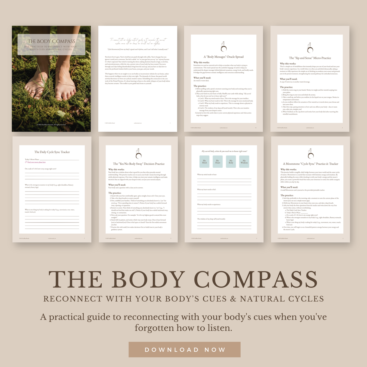 The Body Compass Toolkit: Reconnect with Your Body's Messages | Digital Download