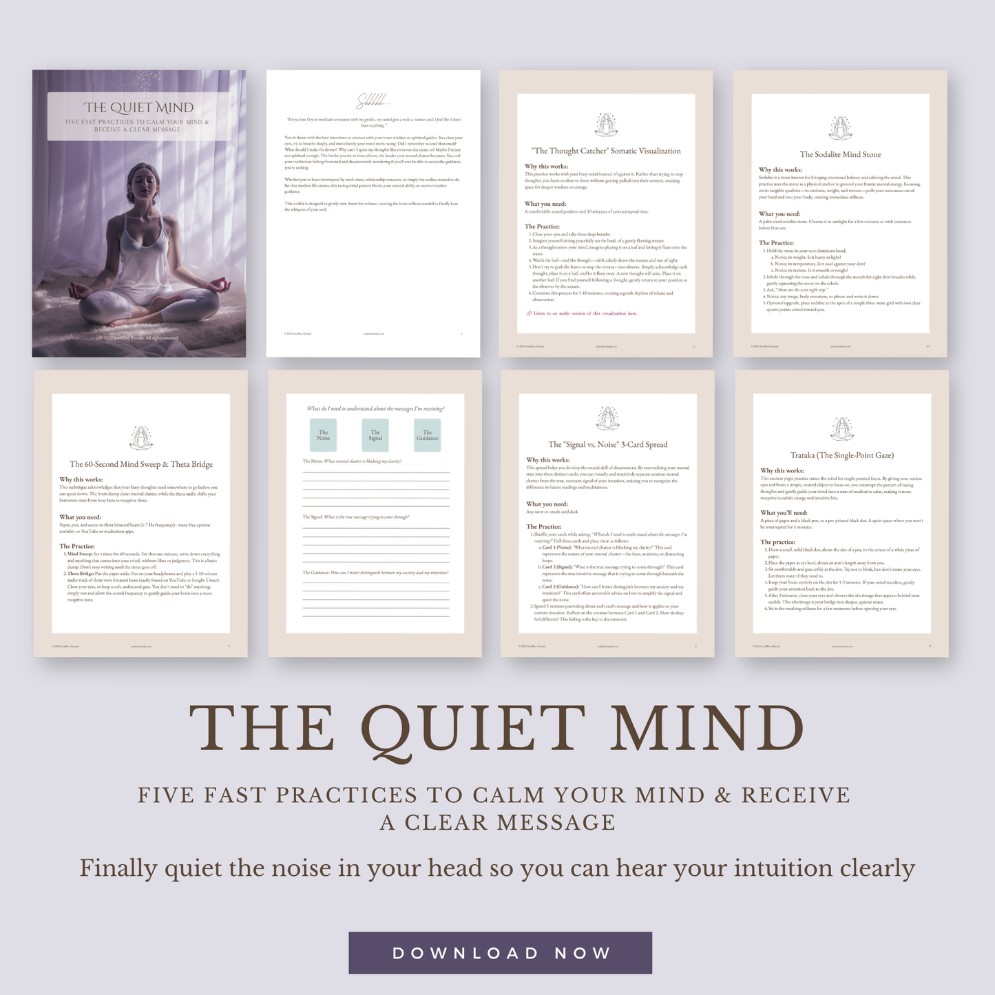 The Quiet Mind Toolkit: Quiet Racing Thoughts & Hear Your Intuition | Digital Download