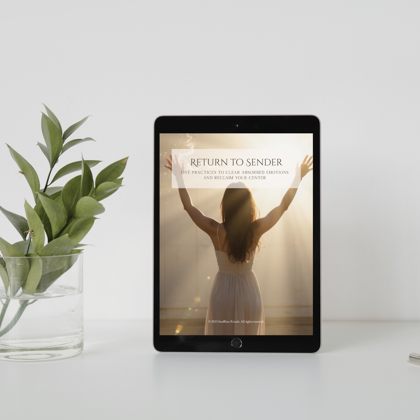 Energy Clearing Guide: Release Absorbed Emotions | Digital Download